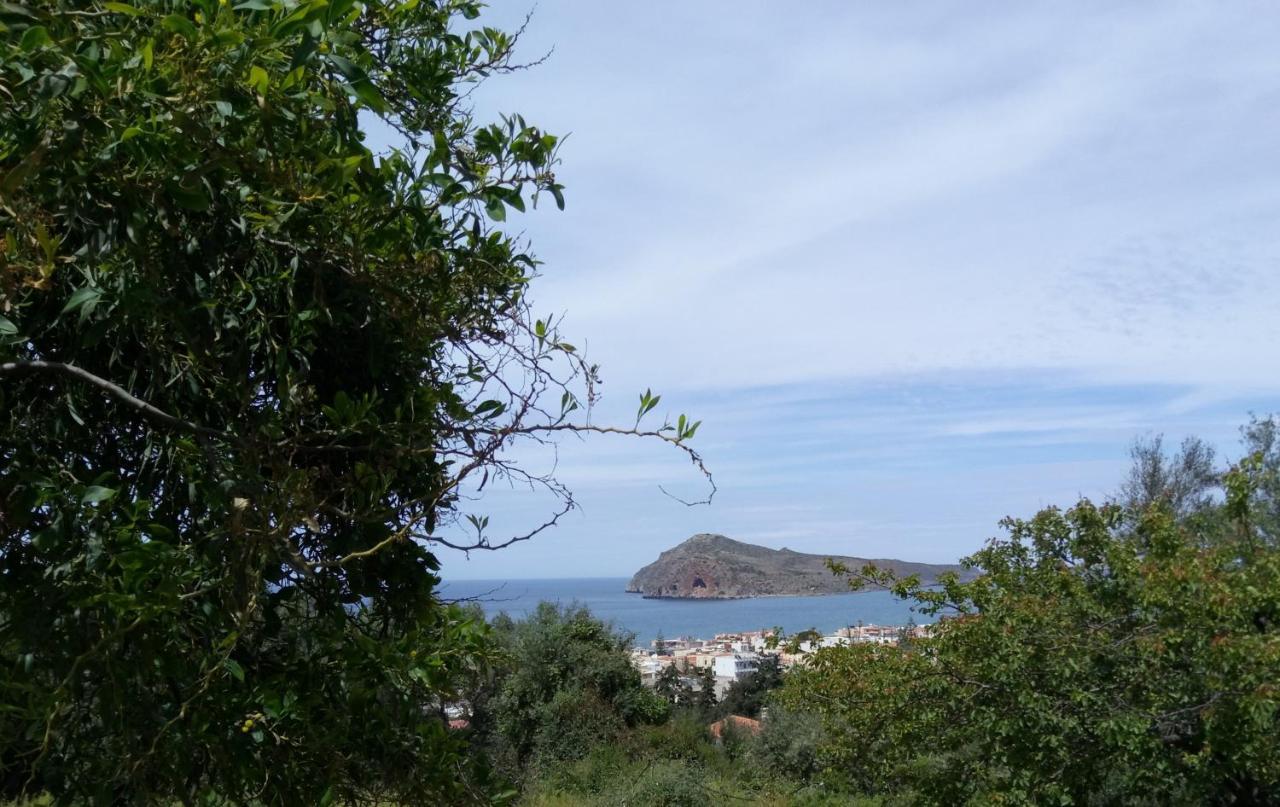 Thea Apartment Agia Marina 외부 사진