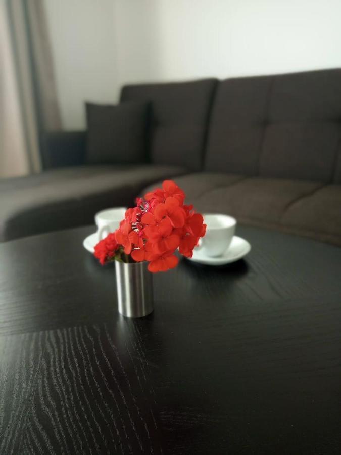 Thea Apartment Agia Marina 외부 사진